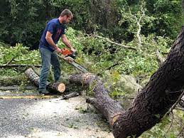 Best Storm Damage Tree Cleanup  in Pitcairn, PA